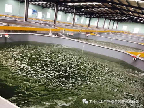 陳海龍解讀 工廠化水產(chǎn)養(yǎng)殖系統(tǒng)與干洗店運(yùn)營的智慧精華